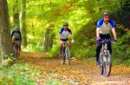 Radverleih im Ort - Radtouren - empfohlene Radstrecken für Rennrad und Mountainbike Radverleih im Ort - Radtouren - empfohlene Radstrecken für Rennrad und Mountainbike