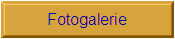 Fotogalerie