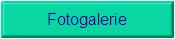 Fotogalerie