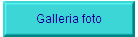 Galleria foto