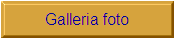 Galleria foto