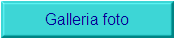 Galleria foto