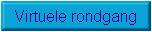 Virtuele rondgang