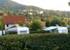 campingplatz-badenweiler-schwarzwald-galdsl