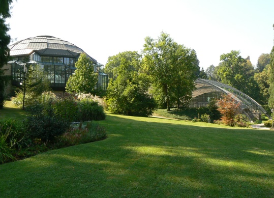 kurpark-badenweiler