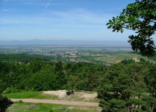campingplatz badenweiler s�ddeutschland